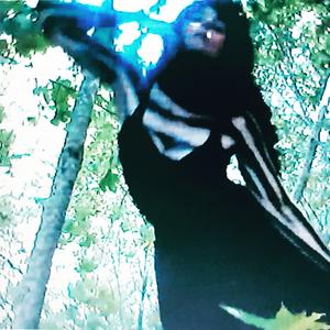 Solstice Meditation I