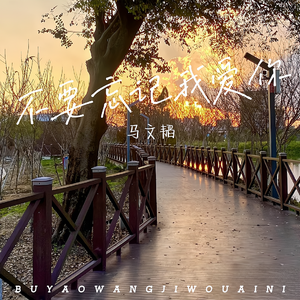 不要忘记我爱你