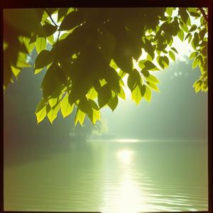 初夏のそよ風-250301-02 by @nia_japanese