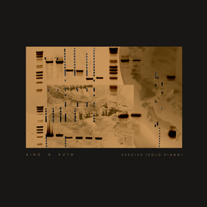 Body in a Room (solo piano)