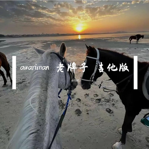 awariman 老牌子 吉他版