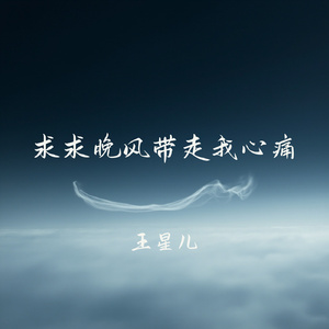 求求晚风带走我心痛