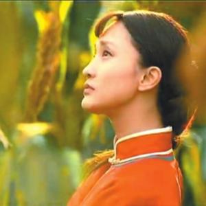 [古筝&二胡]九儿（Cover 谭晶-电视剧《红高粱》主题曲）