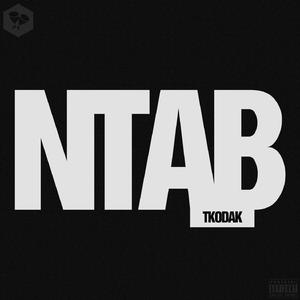 Never Trust A Bitch (feat. Kodak YuKnwDat) (Never Trust A Bitch)