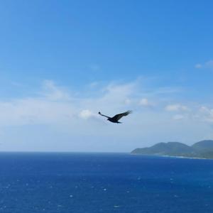 come non perdere il mondo