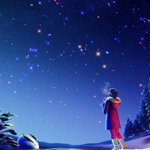 想你陪我数星星