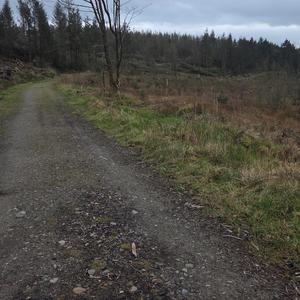 The Fresh Prince of Ballisodare