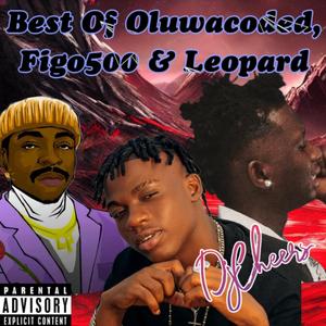 Best Of Oluwacoded, Figo500 & Leopard