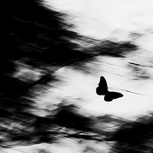 看世界也找自己