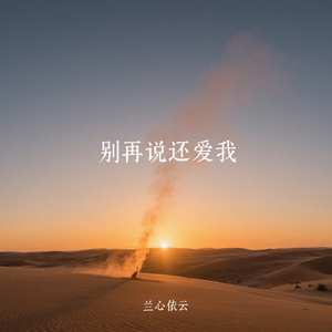 别再说还爱我