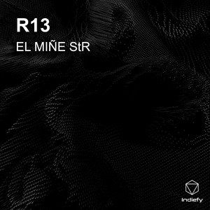 R13