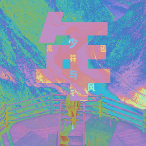 少年与风
