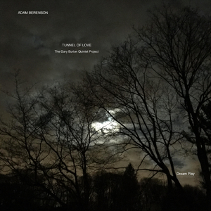 Ictus - Syndrome - Wrong Key Donkey