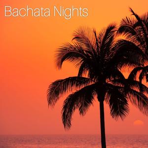 Bachata Nights