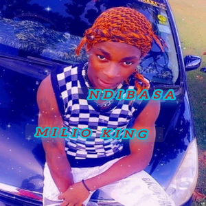 Ndibasa