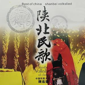 泪蛋蛋抛在沙蒿蒿林