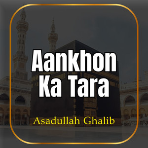 Aap(S.A.W) Ko Dekhna Chahta Hun