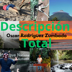 Descripción Total