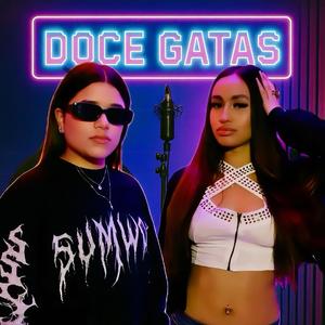 DOCE GATAS