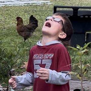 I Wont Eat It Song