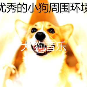 柔和的小狗时刻