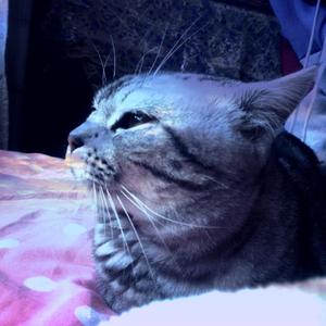 【FREE】‘源自希望’