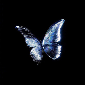 破茧成蝶(Prod by Boyfifty)