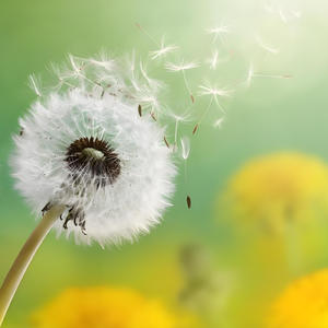 让世界看见更美的自己