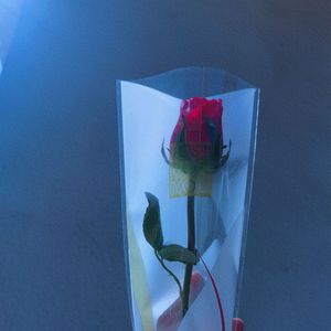 FAIL（ prod by FRESH_ye）