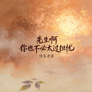 先生啊你也不必太过担忧