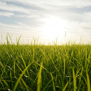 そよ風のスケッチ