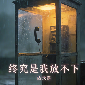 终究还是放不下