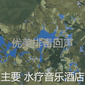 一尘不染排毒印象数