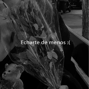 echarte de menos :(