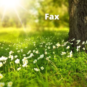 Fax