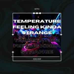 Temperature Feeling Kinda Strange (Remix)