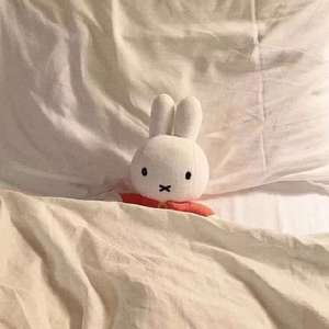 星星永远发着光（翻自 彭宇昕Chloe）