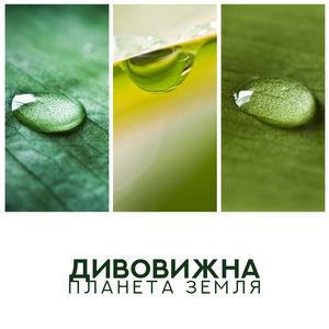 Зелений простір