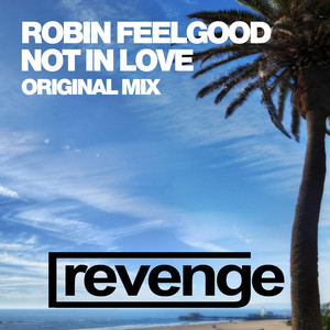 Not In Love (Original Mix)