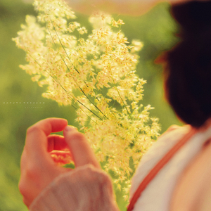 잔잔한 노래 (가을 아침)