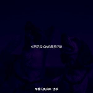 安静的小狗声音