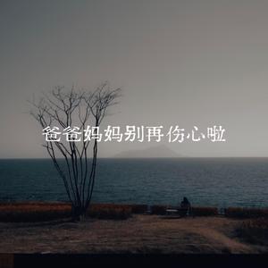 爸爸妈妈别再伤心啦