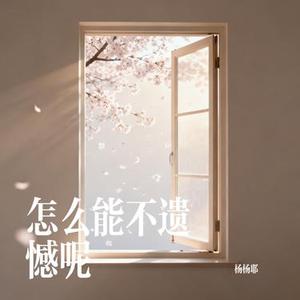 怎么能不遗憾呢
