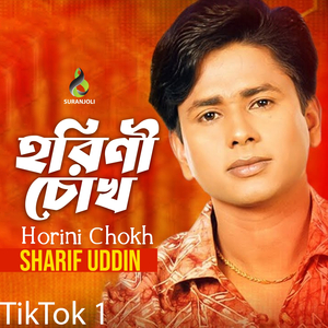 Horini Chokh 2 (Tiktok)