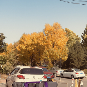 冬未至，你已来