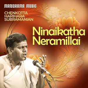 Ninaikatha Neramillai