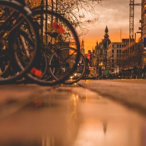 旺盛的生命力 伴奏