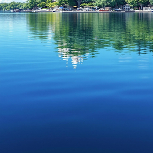 サンキュアロハ