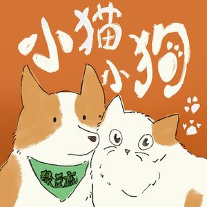 小猫小狗