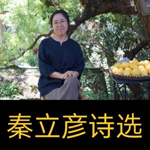 缝缝补补（秦立彦）